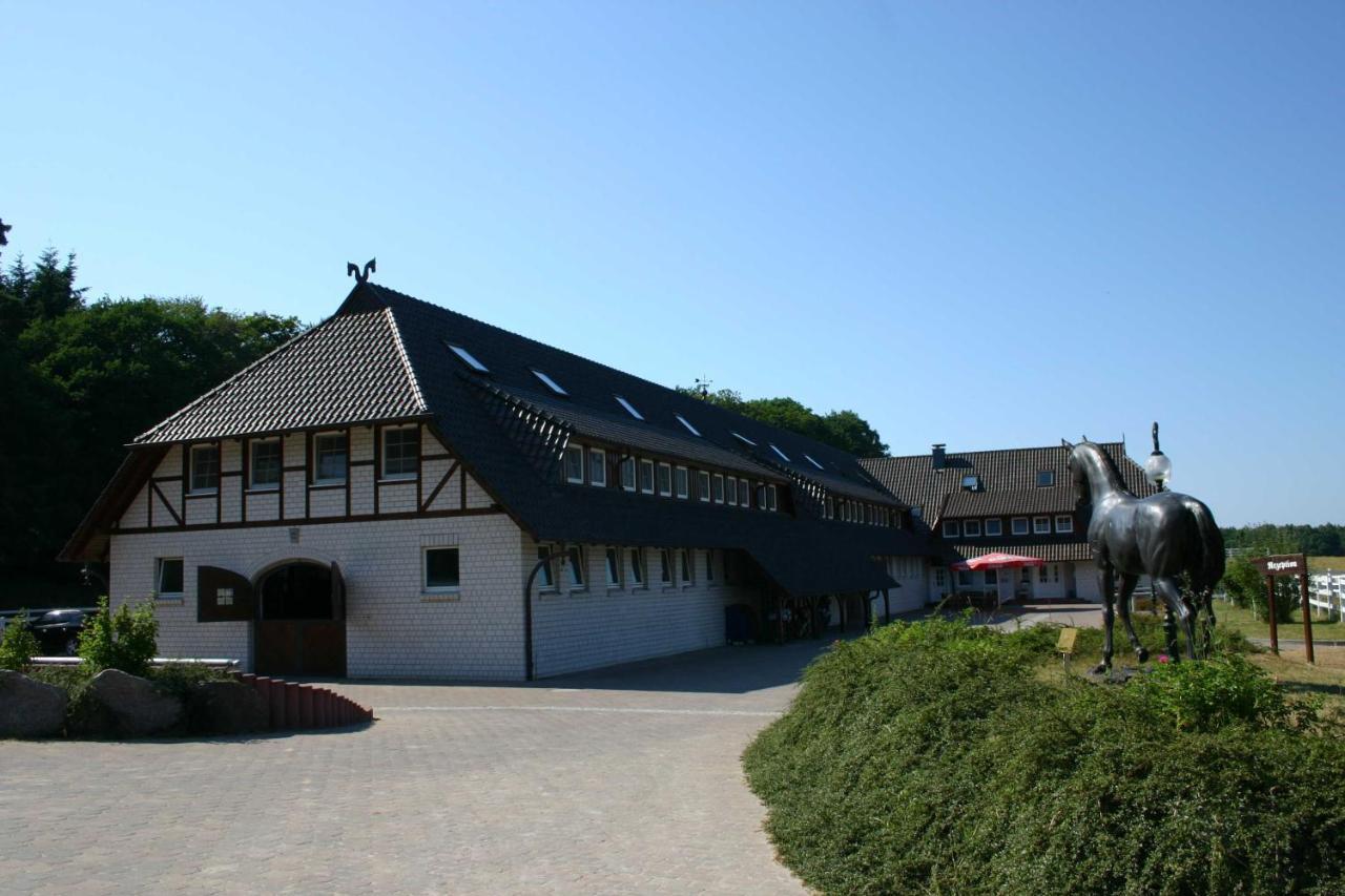 Stoertebeker Appartements - "Stoertebeker Pferdehof" Ralswiek Exteriér fotografie
